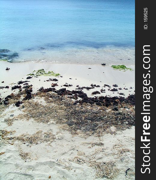 Uncleaned portion of a Caribbean beach with seaweed and various flotsam and jetsom next to crystal clear blue water. Uncleaned portion of a Caribbean beach with seaweed and various flotsam and jetsom next to crystal clear blue water