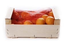 Clementines Stock Photography Clementines Stock Photography