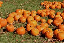 Halloween Pumpkins Stock Images Halloween Pumpkins Stock Images