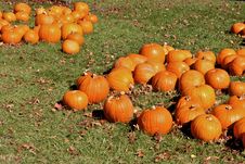 Halloween Pumpkins Stock Photos Halloween Pumpkins Stock Photos