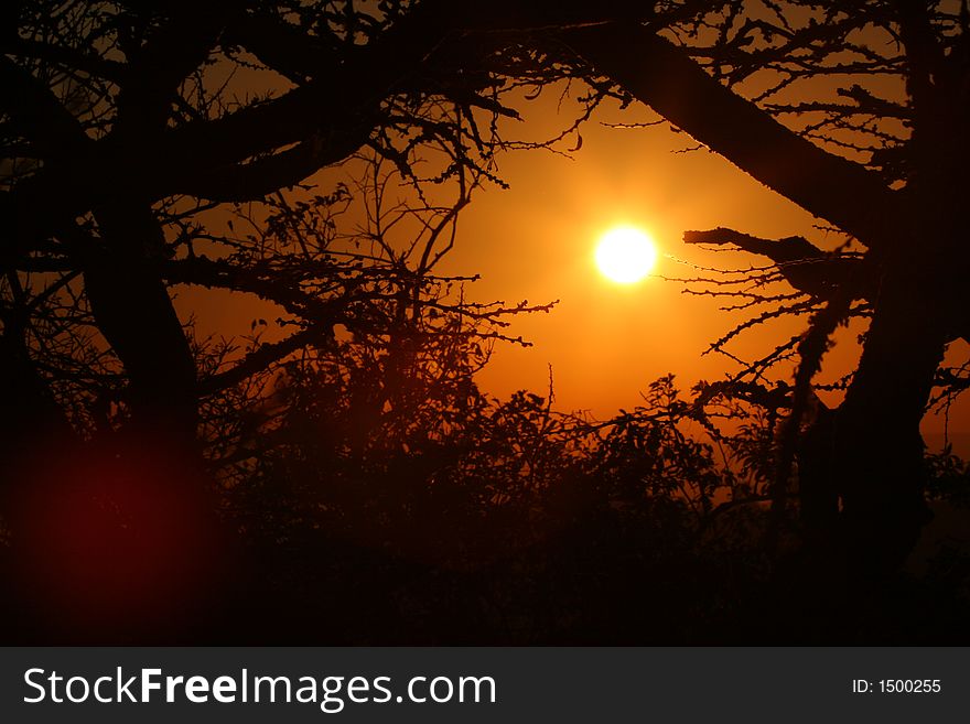 African sunrise through the trees over the Valley of a Thousands Hills in Durban South Africa