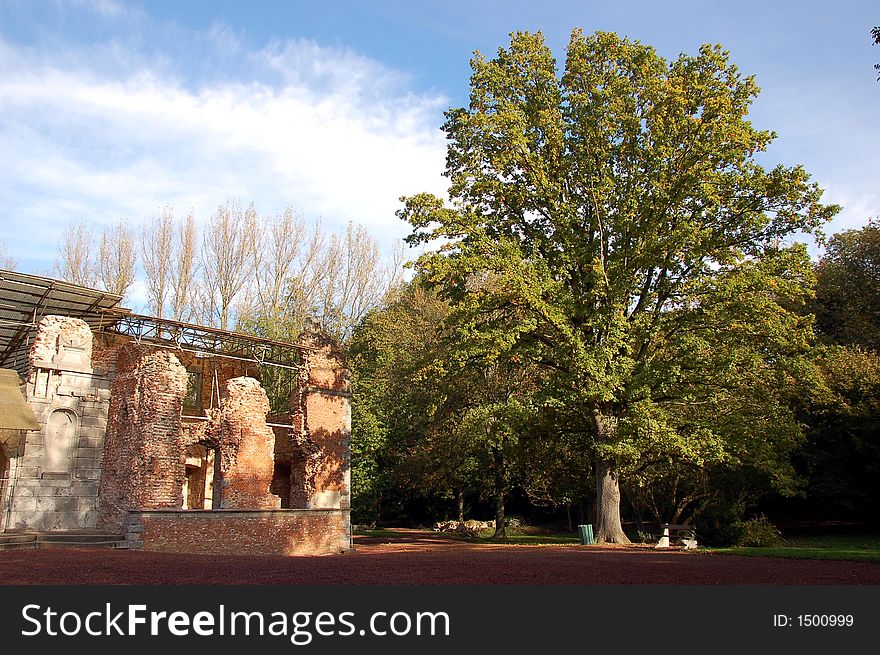 Beautiful tree near ancient castle lighted with the morning light