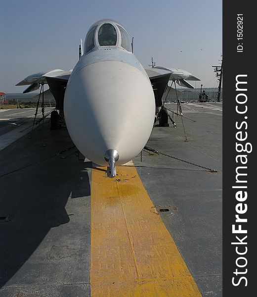 F-14 Tomcat Nose