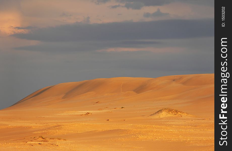 Coastal dunes at sunset with dark clouds as background. Coastal dunes at sunset with dark clouds as background