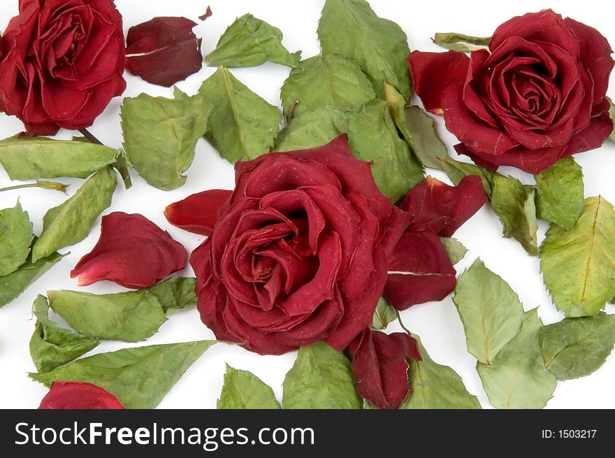 Red rose petals, buds and green leaves