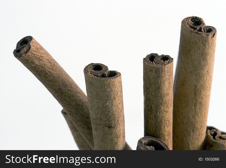 Cinnamon sticks on a white background. Cinnamon sticks on a white background