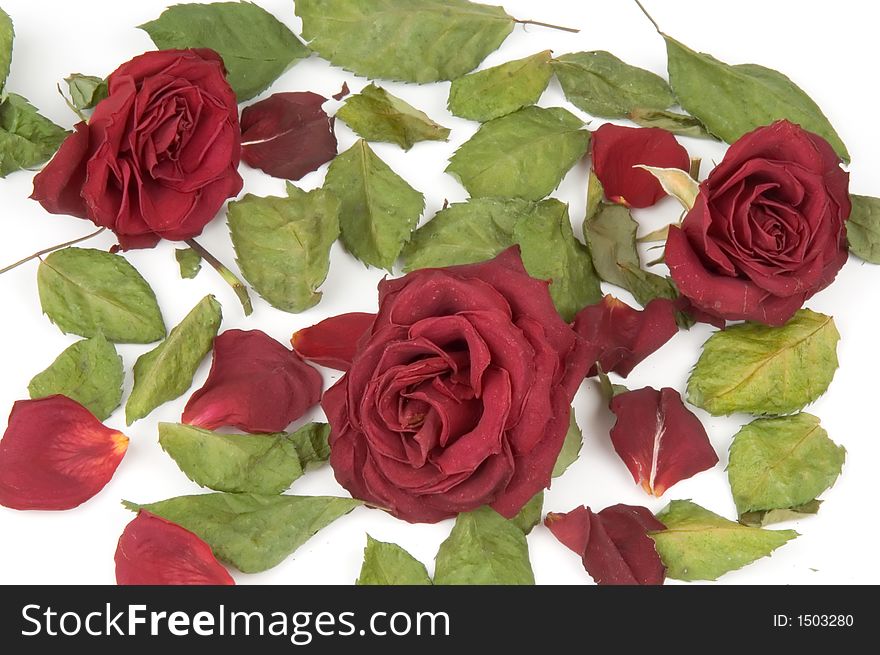 Red rose petals, buds and green leaves