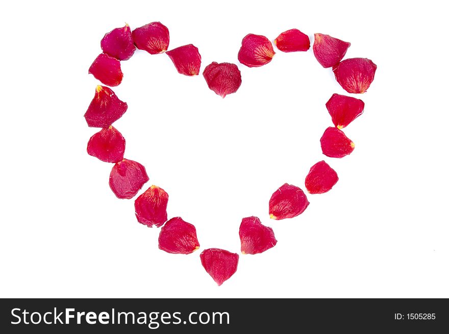 Heart frame from red rose petals over white background