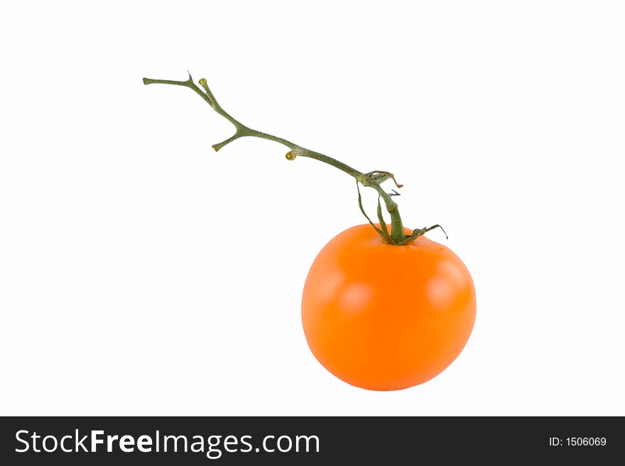 A yellow tomato with vine attached. A yellow tomato with vine attached