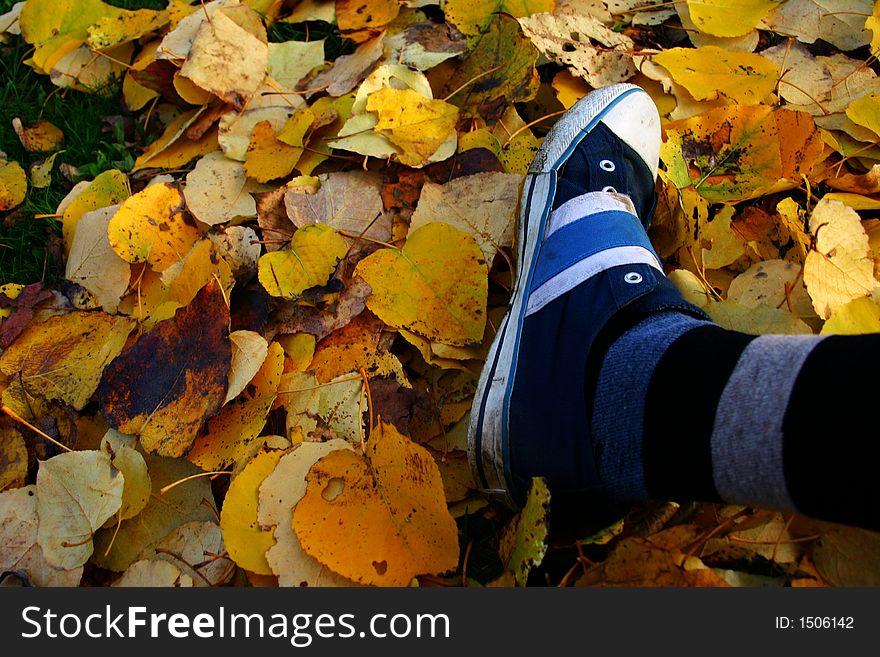 Beautiful shoes over the leaves background. Beautiful shoes over the leaves background