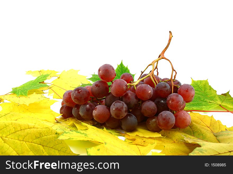 Red Grapes On Leaves