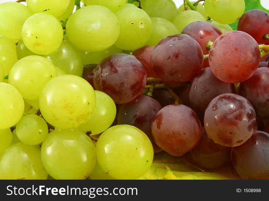 Seasonal grapes with leaves on white. Seasonal grapes with leaves on white