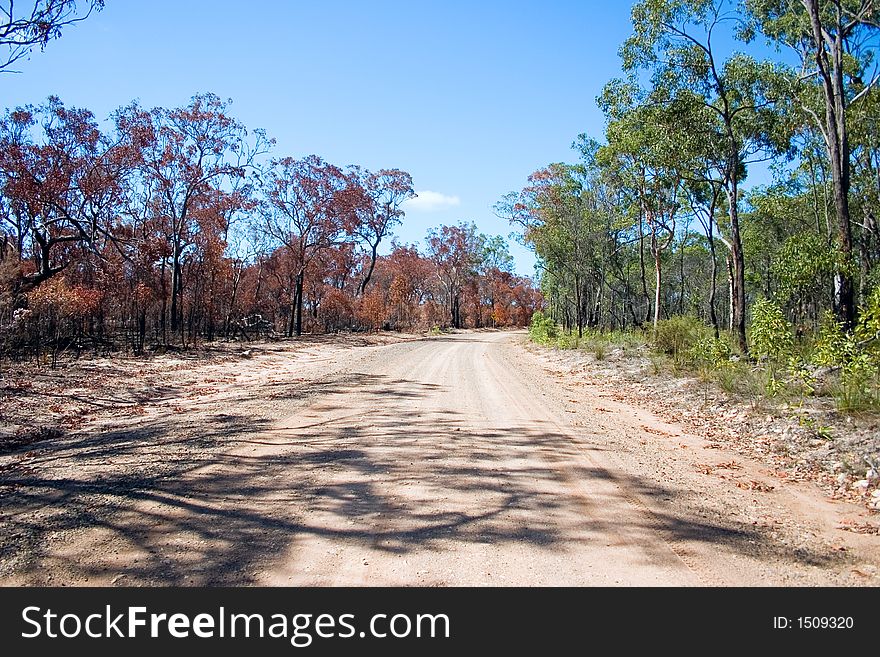 Image presented as a metaphor for business with one side of the track destroyed by fire and the other untouched. I am sure you can see the potential. Image presented as a metaphor for business with one side of the track destroyed by fire and the other untouched. I am sure you can see the potential.