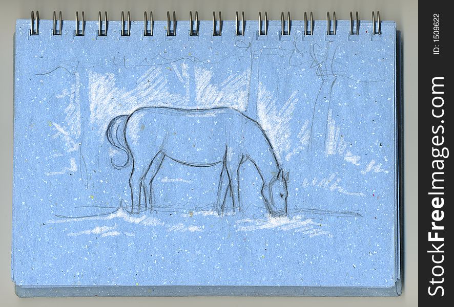 A drawing of a horse hand drawn with grey pencil and white chalk on a blue sketchbook. A drawing of a horse hand drawn with grey pencil and white chalk on a blue sketchbook