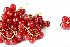 Red Currants Royalty Free Stock Photography