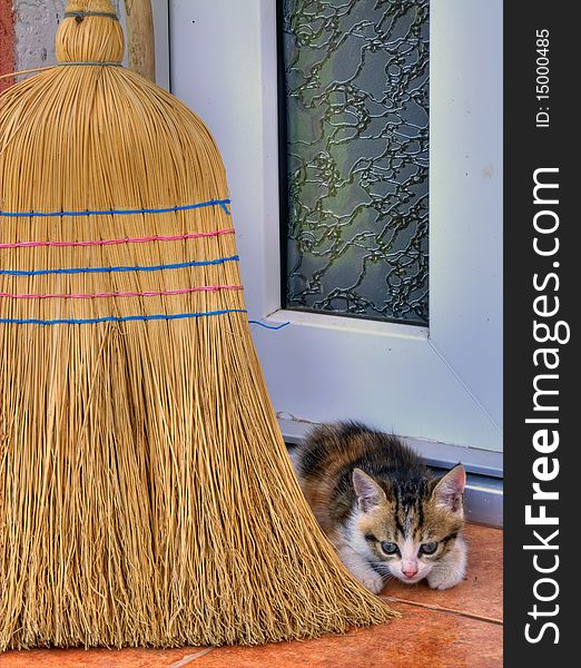 Little cat hideing behind broom.