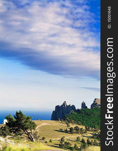 Pine-tree on mountain over sea coast