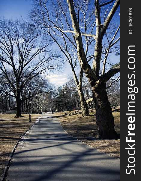 Central park alley in New York