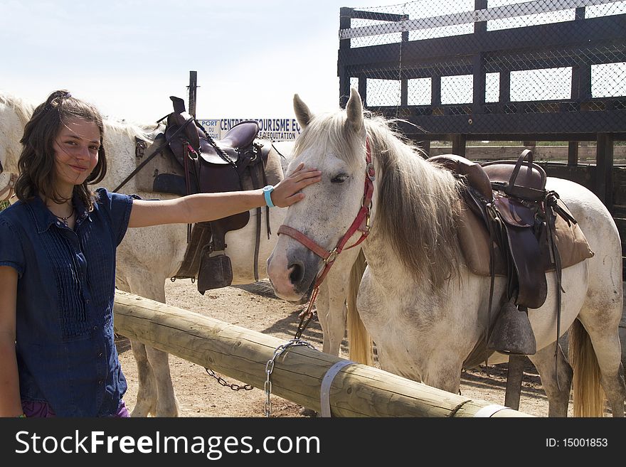 Girl petting a white horse. Girl petting a white horse