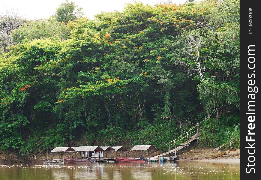 Tropical rain forest and longtail boats along River Kwai in Kanchanaburi, Thailand. Tropical rain forest and longtail boats along River Kwai in Kanchanaburi, Thailand.