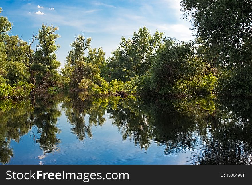 Summer Beautiful River Landscape Danube