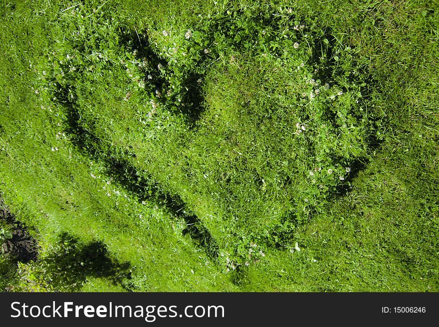 Grassy heart on grass in grass. Grassy heart on grass in grass