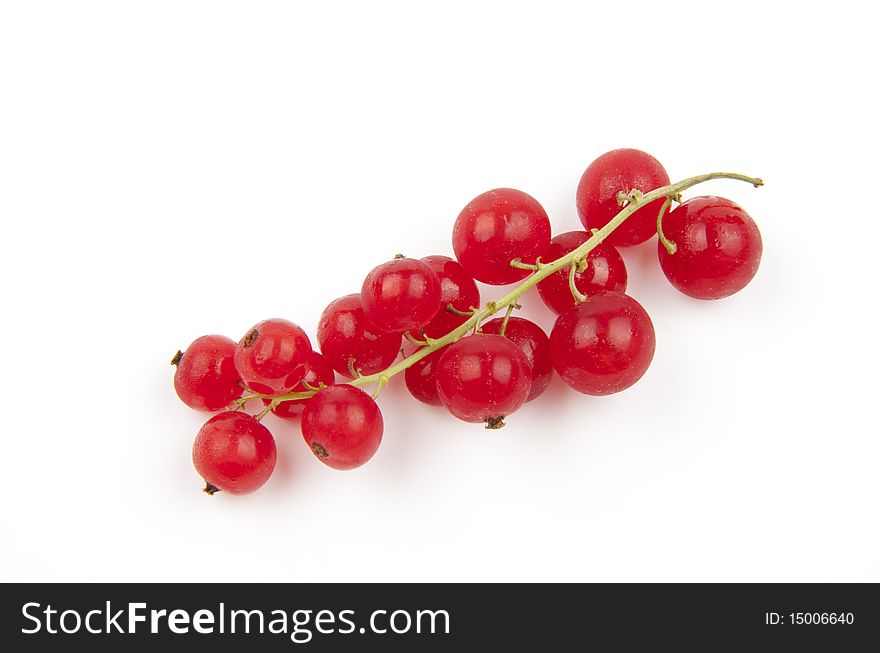 Red currant, Ribes Rubrum, isolated on white background