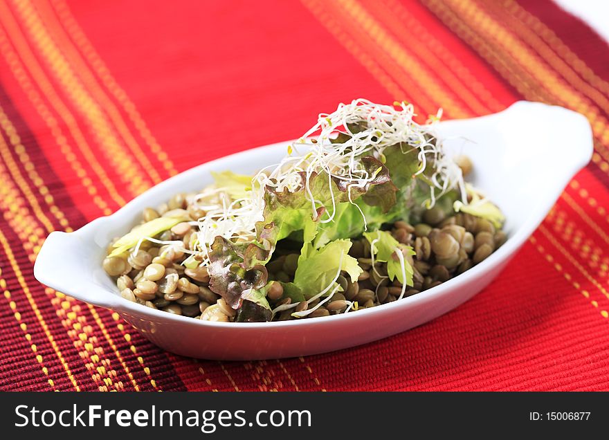 Bowl of cooked lentils with sprouts on top. Bowl of cooked lentils with sprouts on top