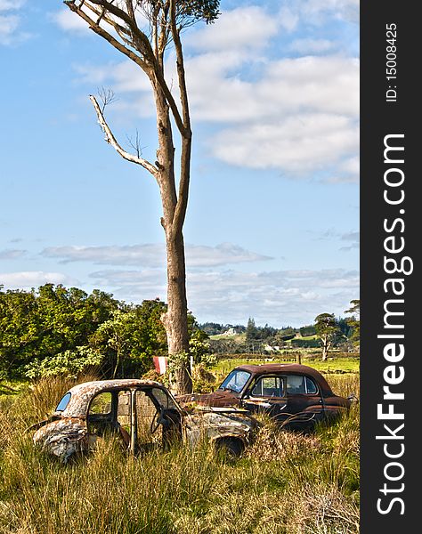 Abandoned cars in the New Zealand Countryside.