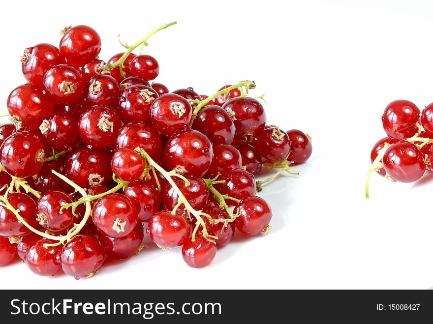 Red currants in detail on a white background