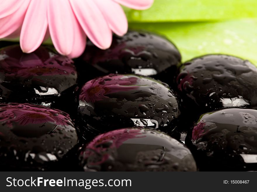 Spa essentials (stones with flower)