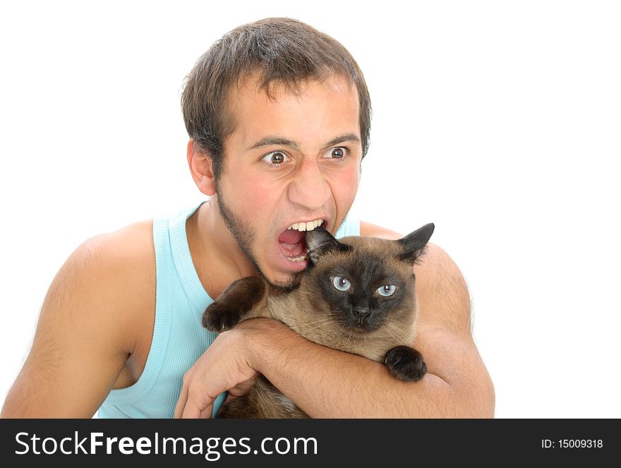 Man bites for ear of cat isolated in white