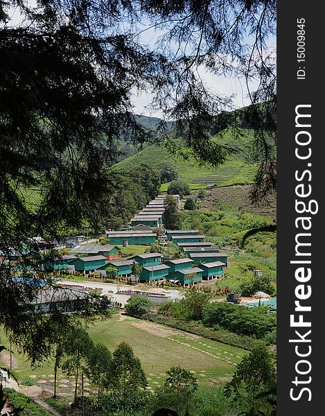 Country home in Cameron Highland,Malaysia