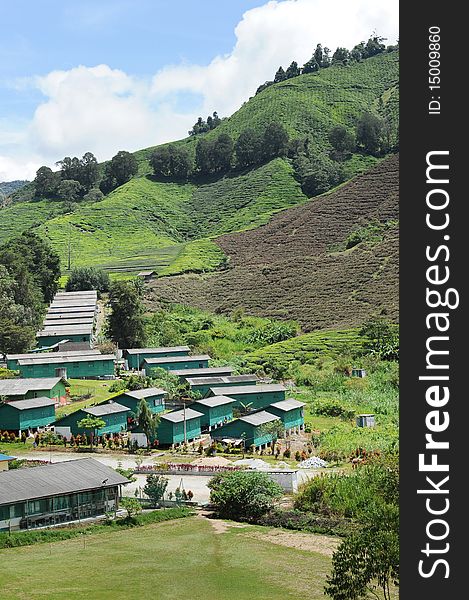 Country home in Cameron Highland,Malaysia