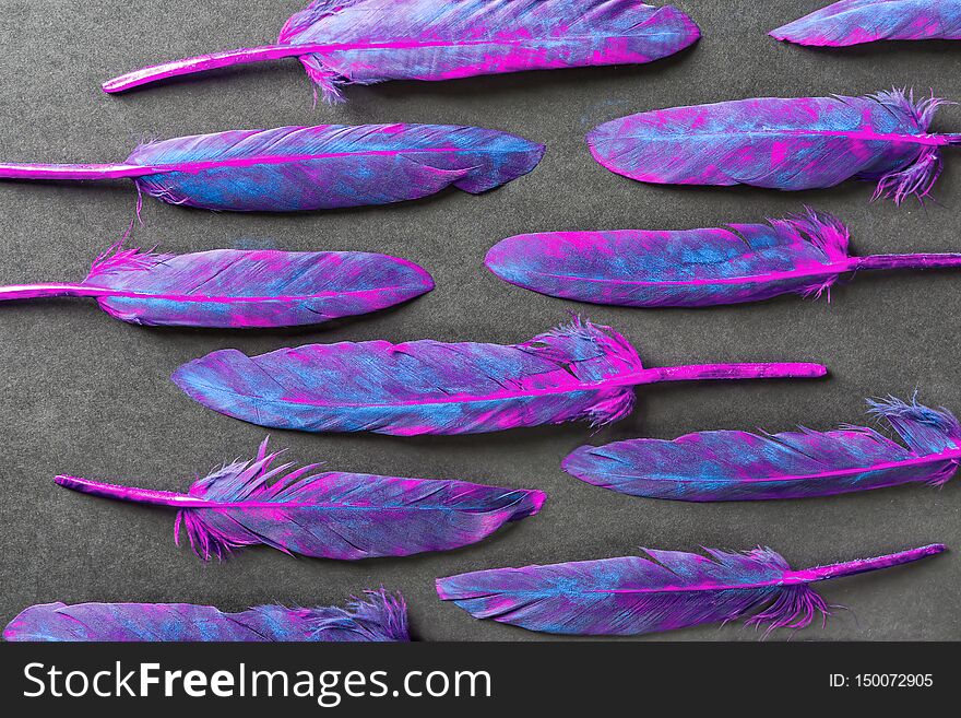 Colorful feathers on dark background