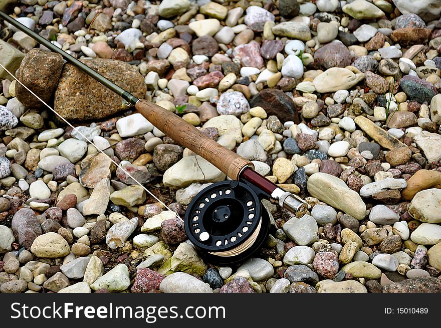 Fly rod with reel