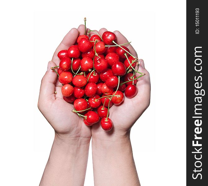 Hands holding red cherry isolated on white