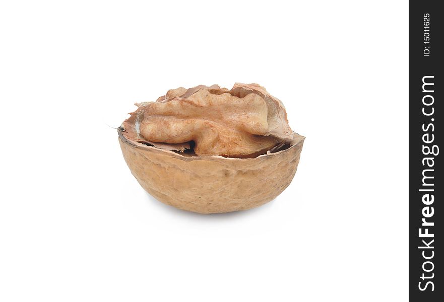 Picture of walnut on a white background