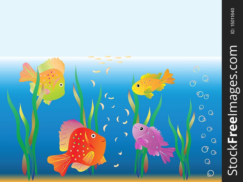 Aquarian small fishes are fed. Vector illustration.