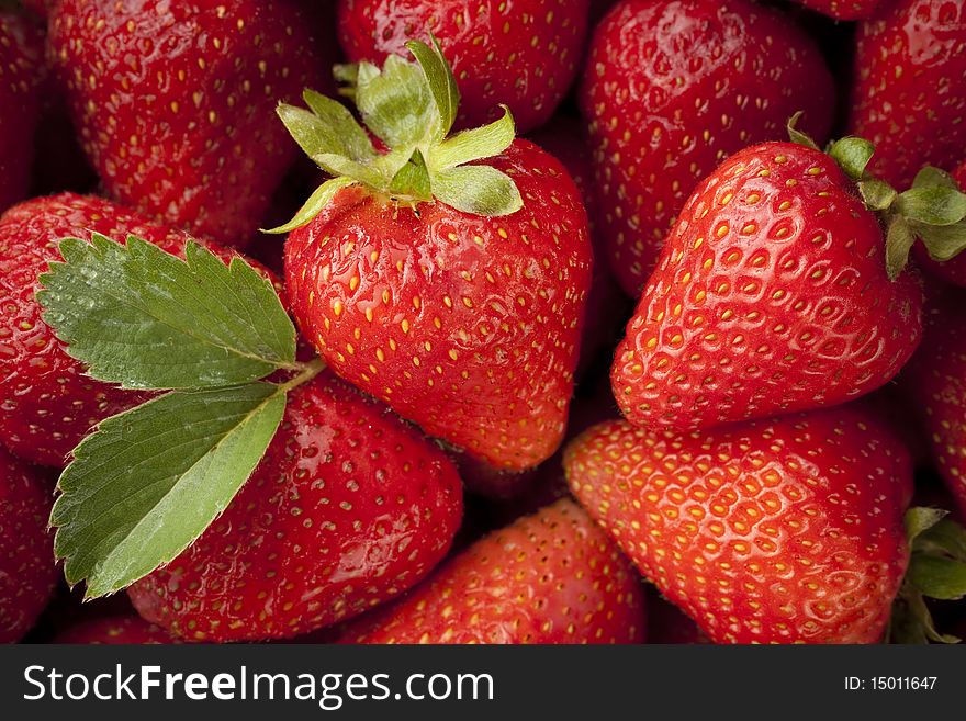Fresh red ripe strawberries filling entire frame with strawberry plant leaf. Fresh red ripe strawberries filling entire frame with strawberry plant leaf