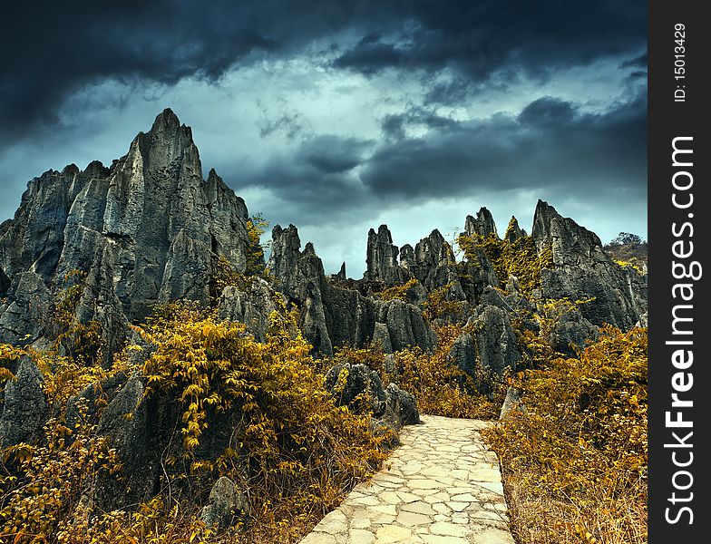 Stone formation in stone forest, shilin, guizhou, china