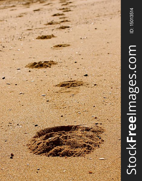 A trail of footprints goes along the beach or desert through the sand. A trail of footprints goes along the beach or desert through the sand.