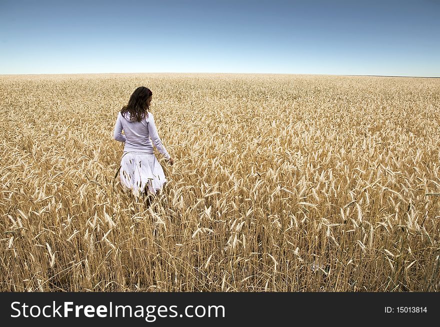 A young girl stands with his back to the camera in a field of rye, touching hands ears. Against the background of blue sky. Landscape.