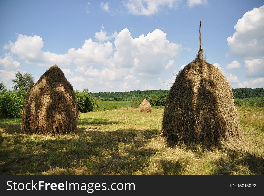 Hay In Stacks.