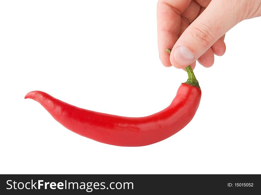 Chili pepper holding in hand isolated
