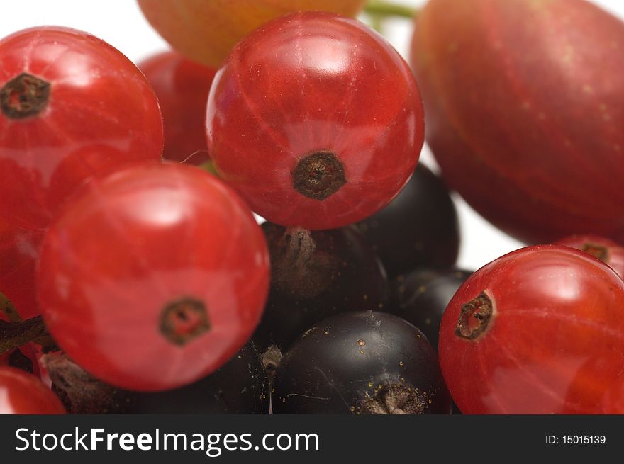 Closeup shot of gooseberry black and red currants. Closeup shot of gooseberry black and red currants.