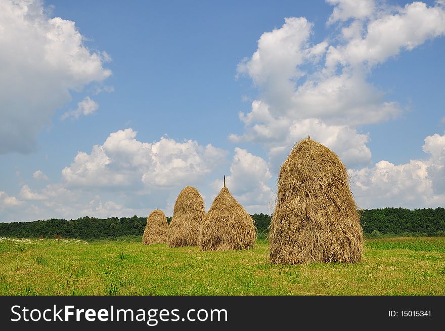 A summer rural landscape with haystacks under clouds. A summer rural landscape with haystacks under clouds.