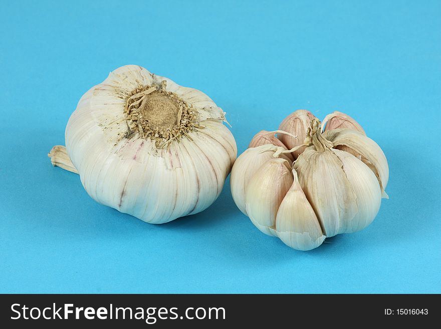 The garlic on blue background