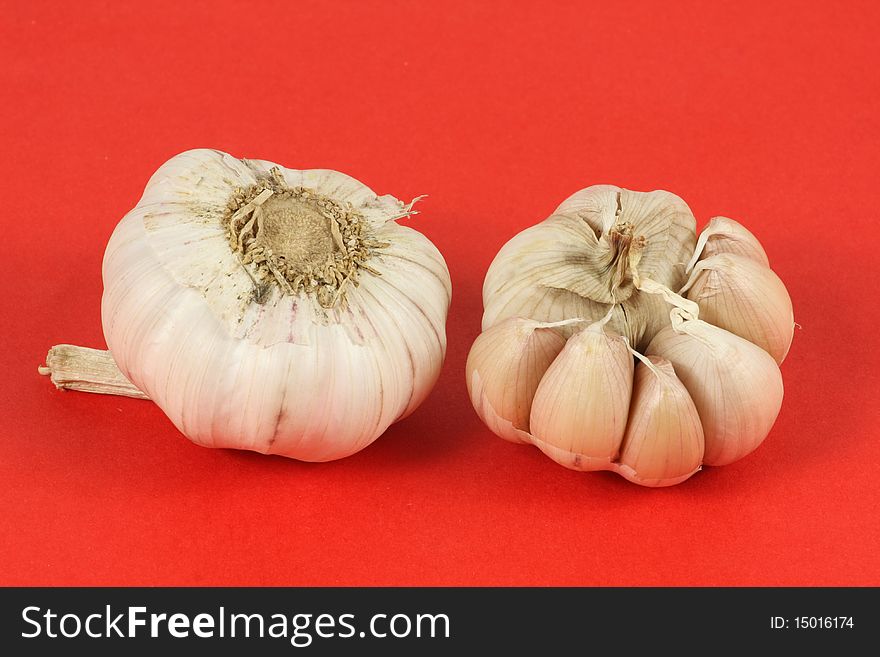 The garlic on red background