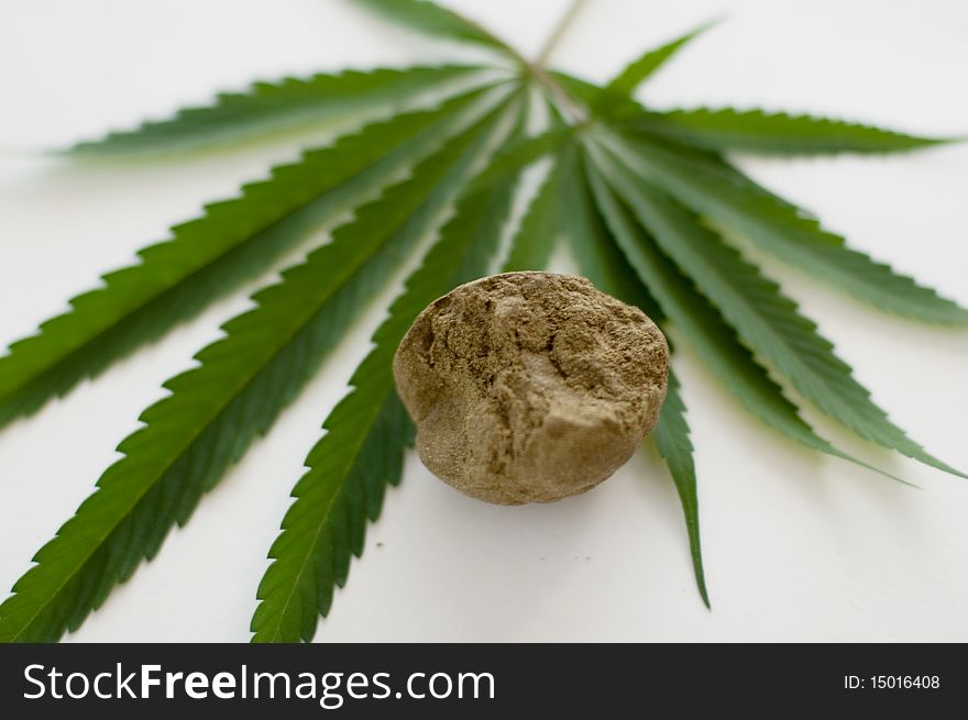 Cannabis plant for alternative medicine